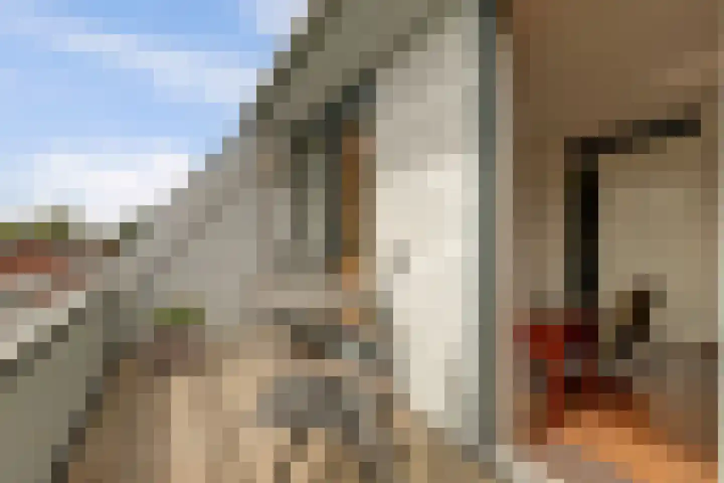Binnenquartier 25 Kerkdriel thumbnail 20
