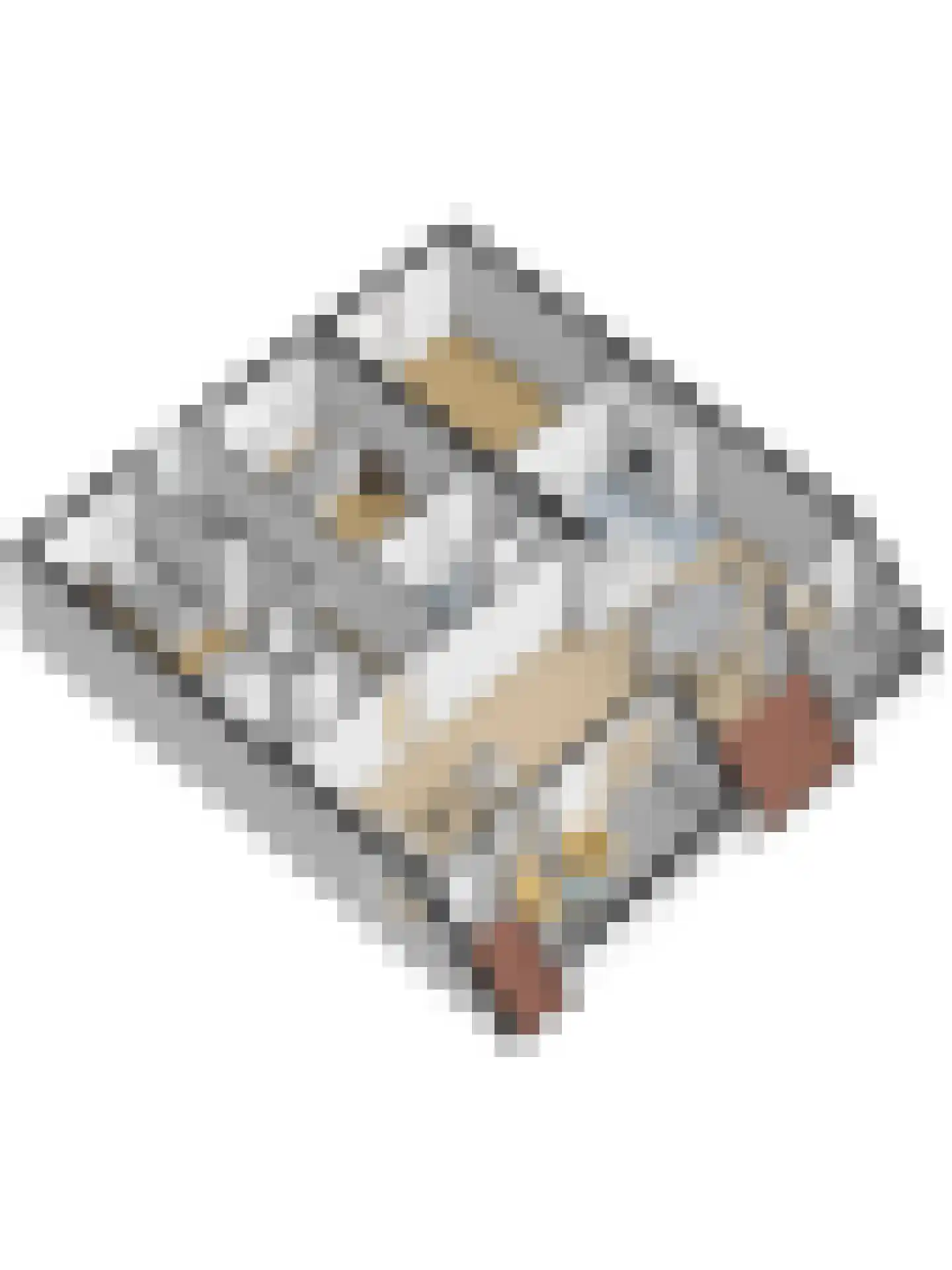 Binnenquartier 25 Kerkdriel thumbnail 46