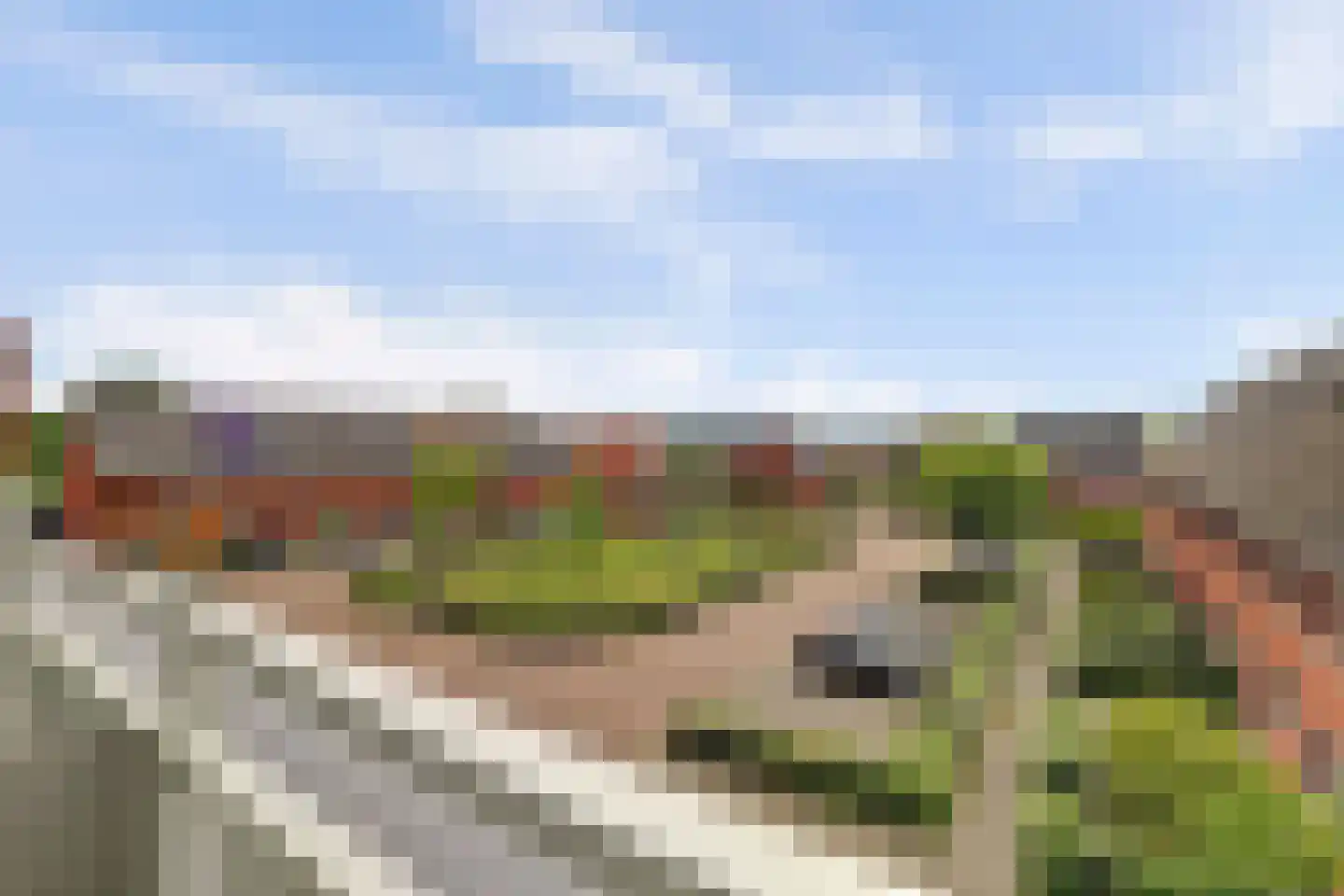 Binnenquartier 25 Kerkdriel thumbnail 5