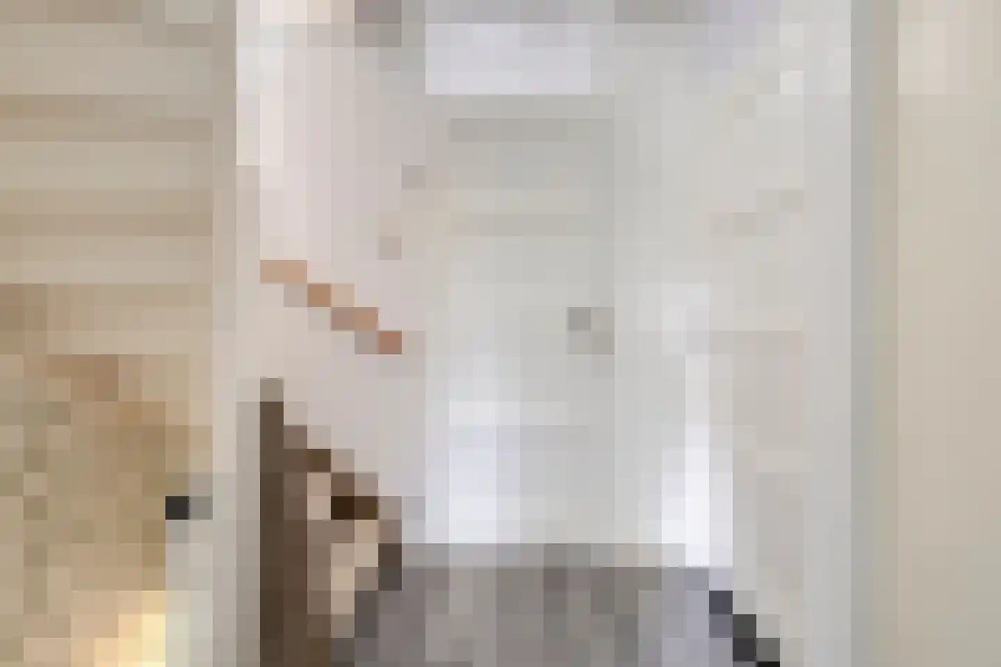 Binnenroede 24 Smilde thumbnail 24