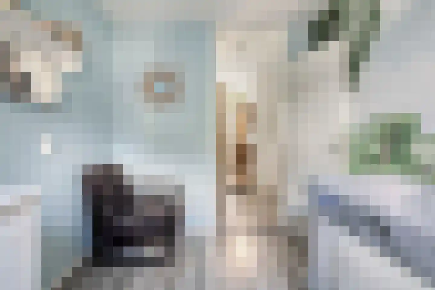Binnenroede 24 Smilde thumbnail 30