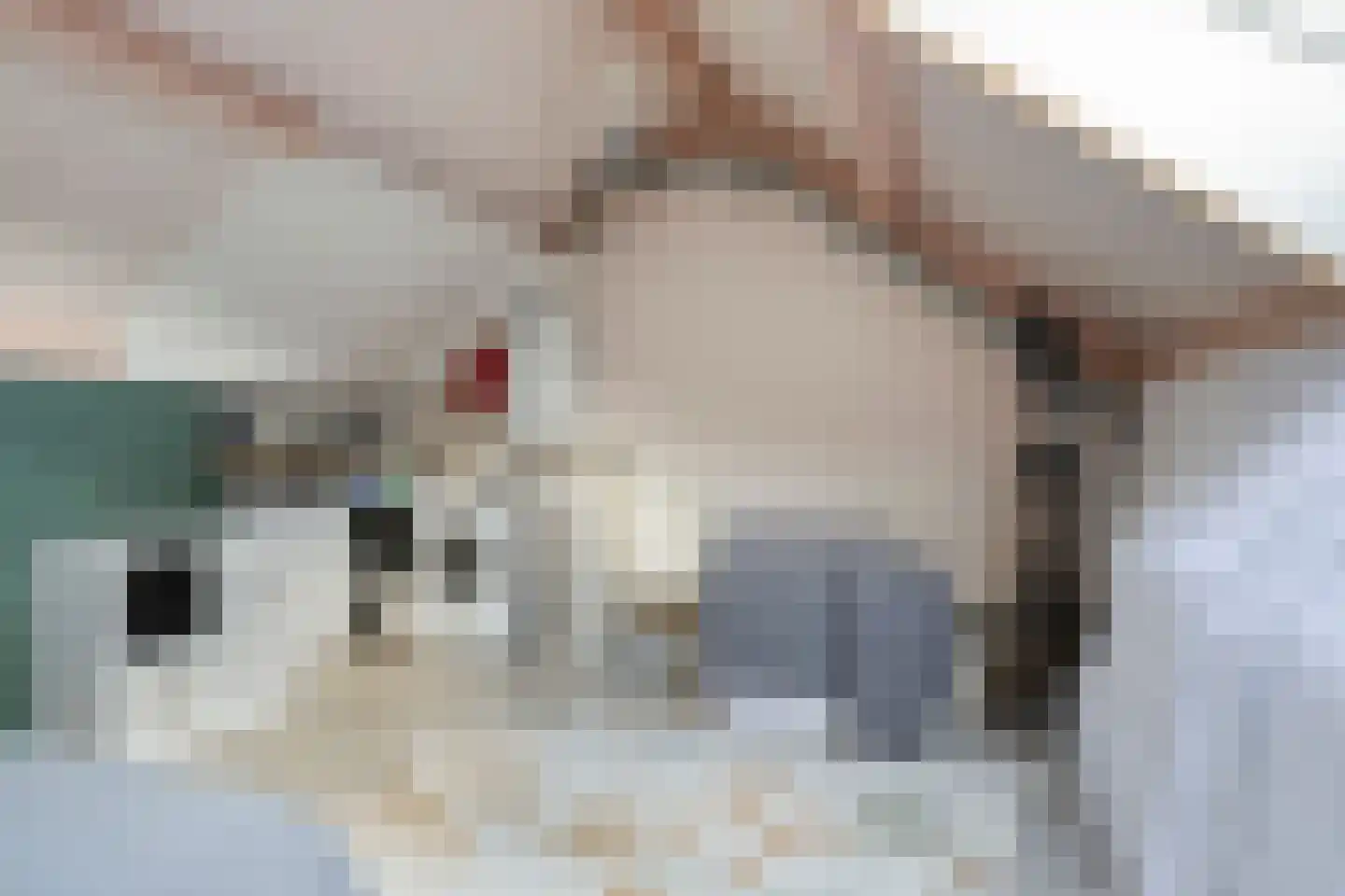 Binnenroede 24 Smilde thumbnail 34