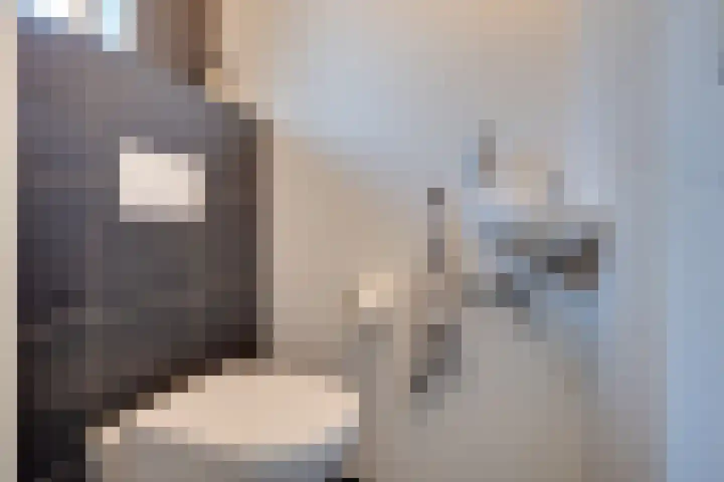 Binnenroede 9 Smilde thumbnail 13