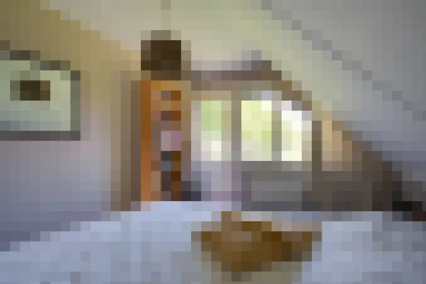 Binnenroede 9 Smilde thumbnail 15