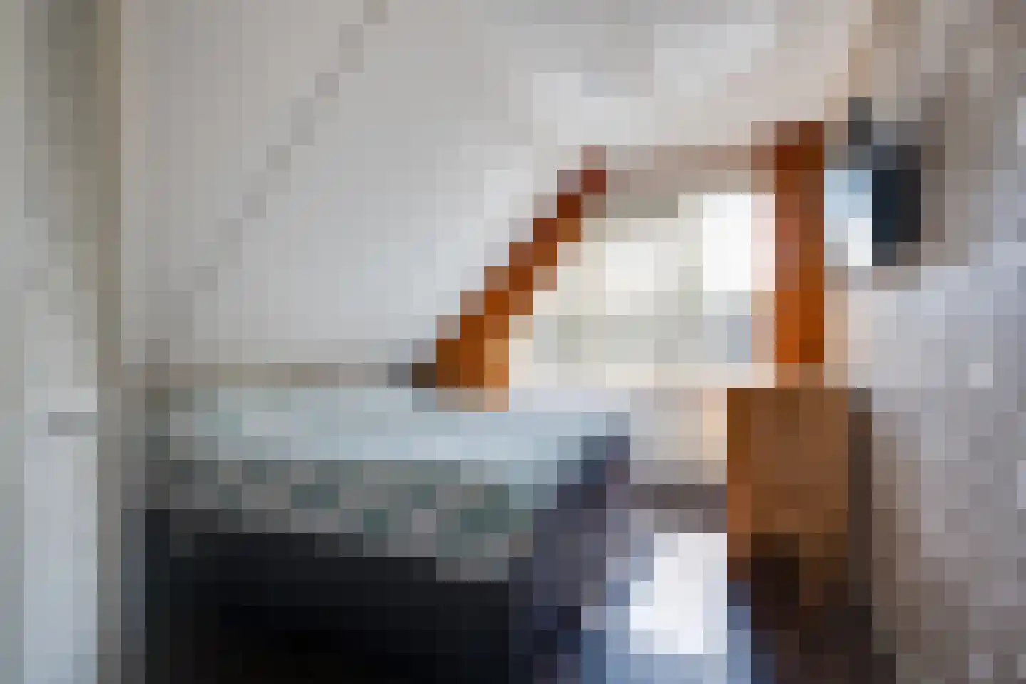 Binnenroede 9 Smilde thumbnail 17