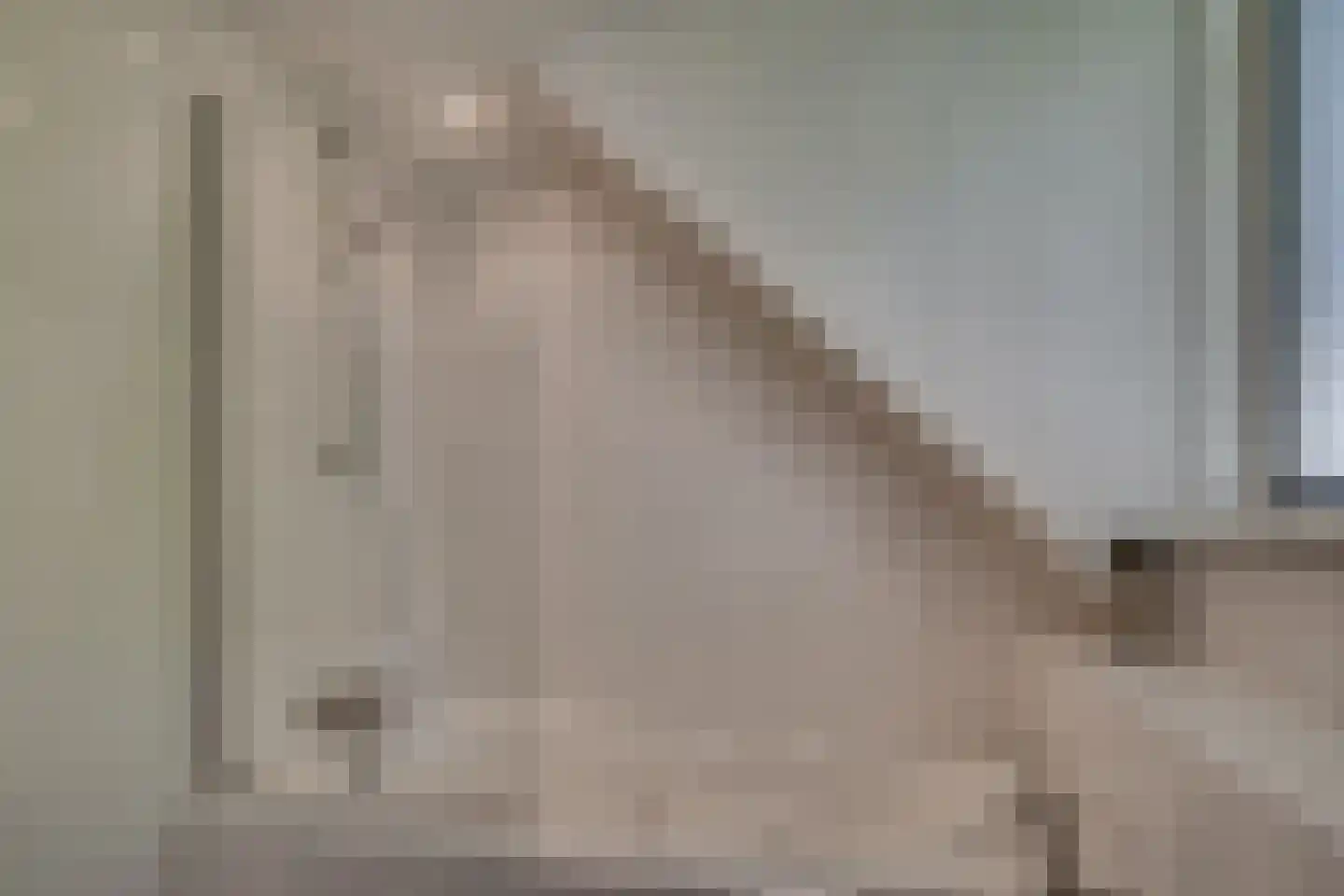 Binnenroede 9 Smilde thumbnail 21
