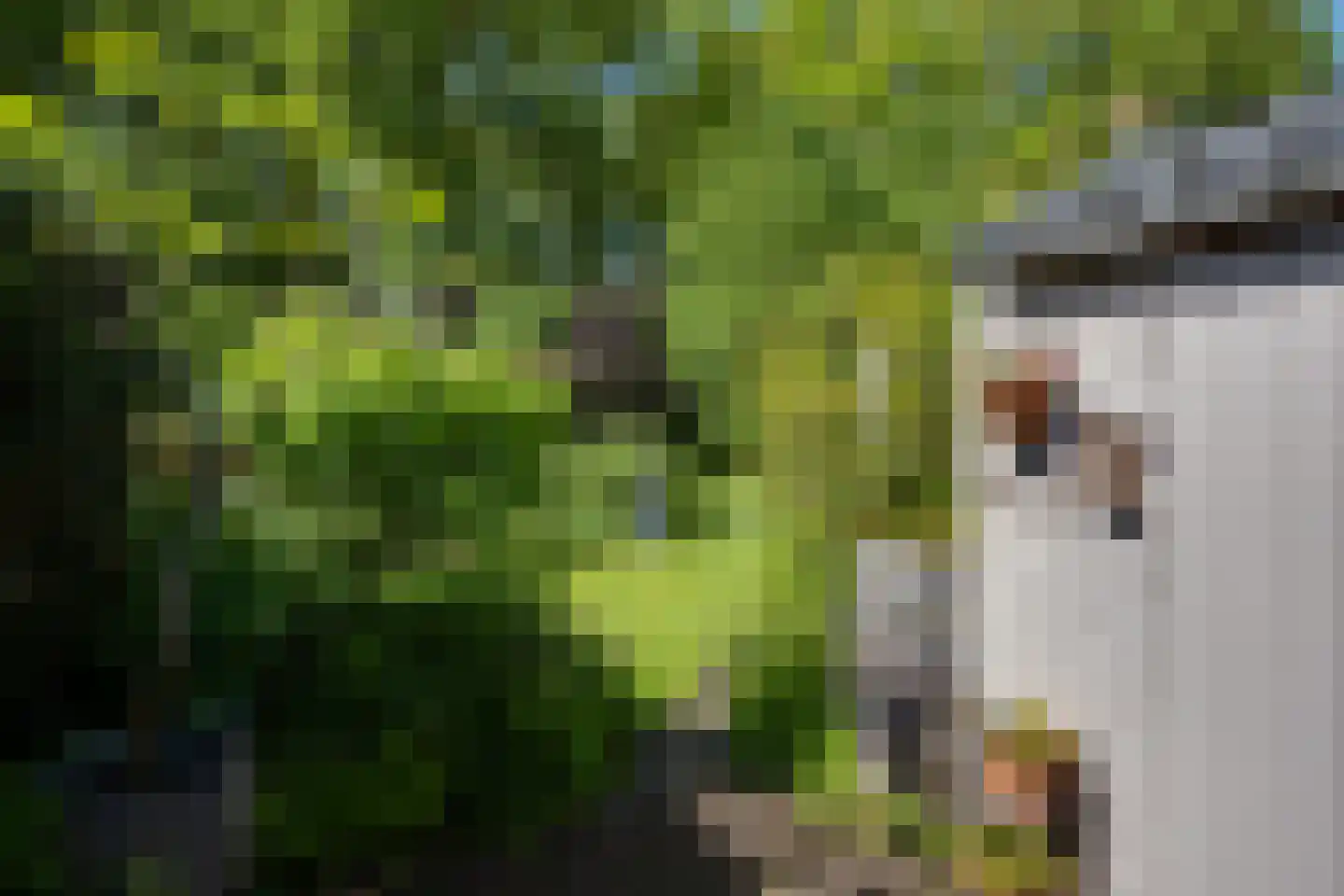 Binnenroede 9 Smilde thumbnail 28