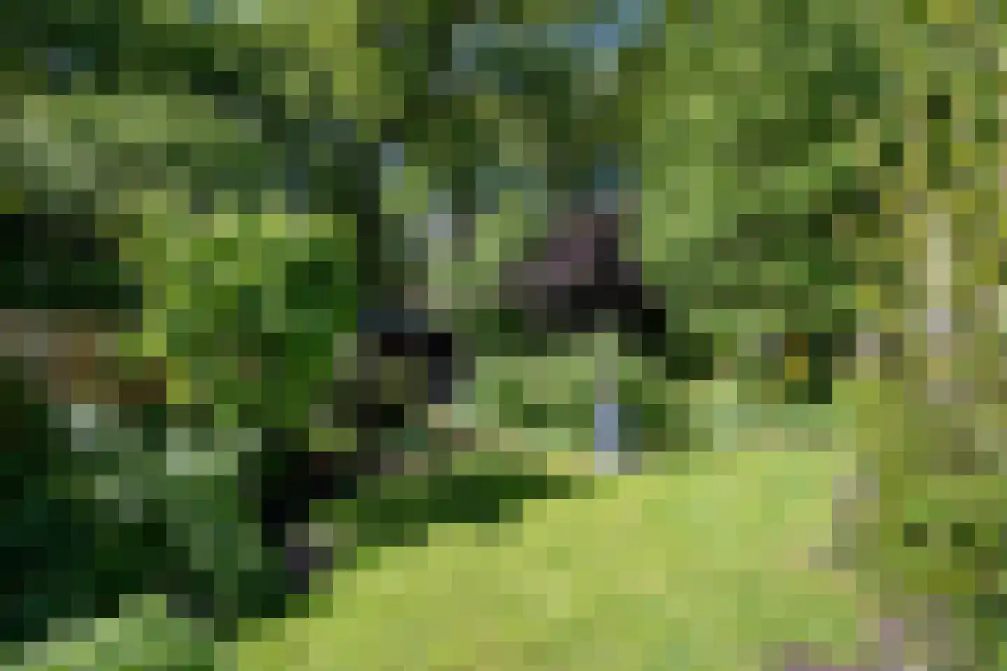 Binnenroede 9 Smilde thumbnail 29