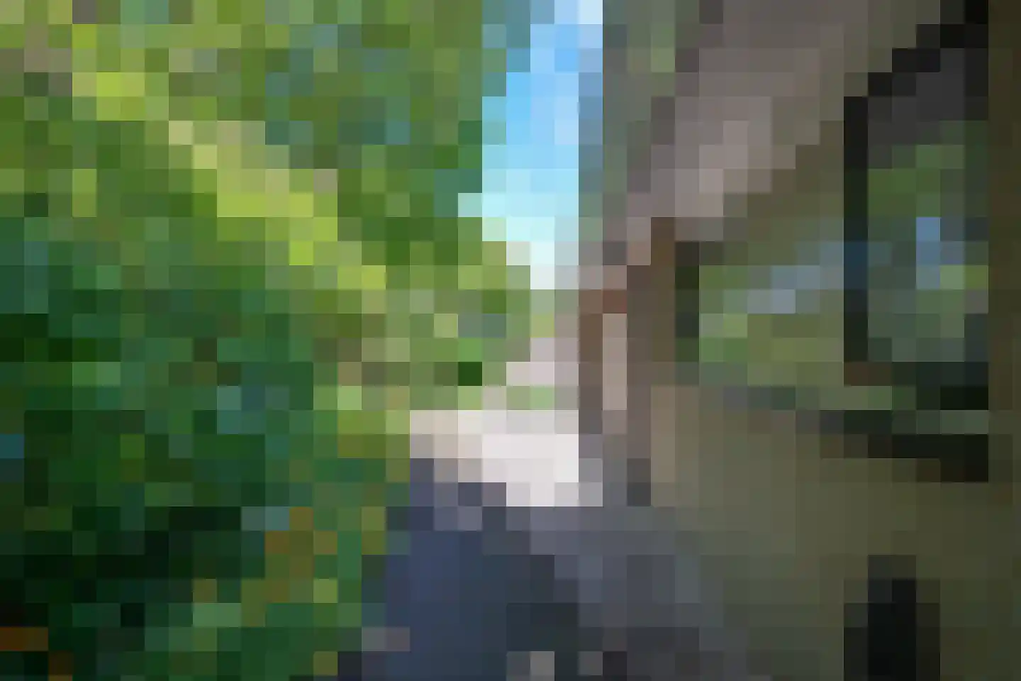 Binnenroede 9 Smilde thumbnail 30