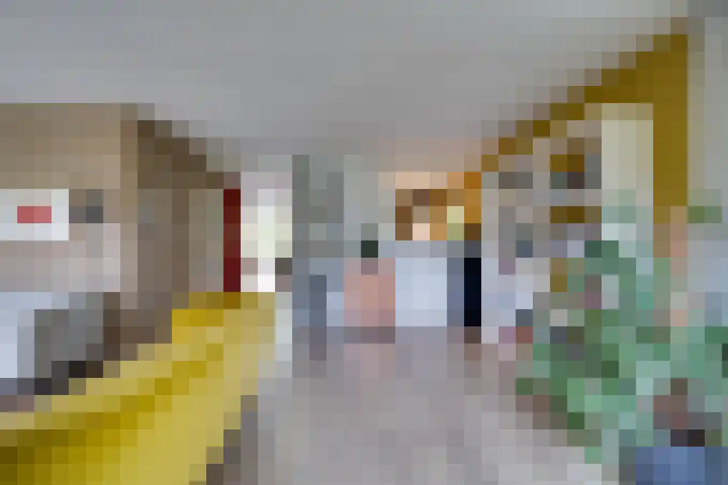 Binnenroede 9 Smilde thumbnail 6