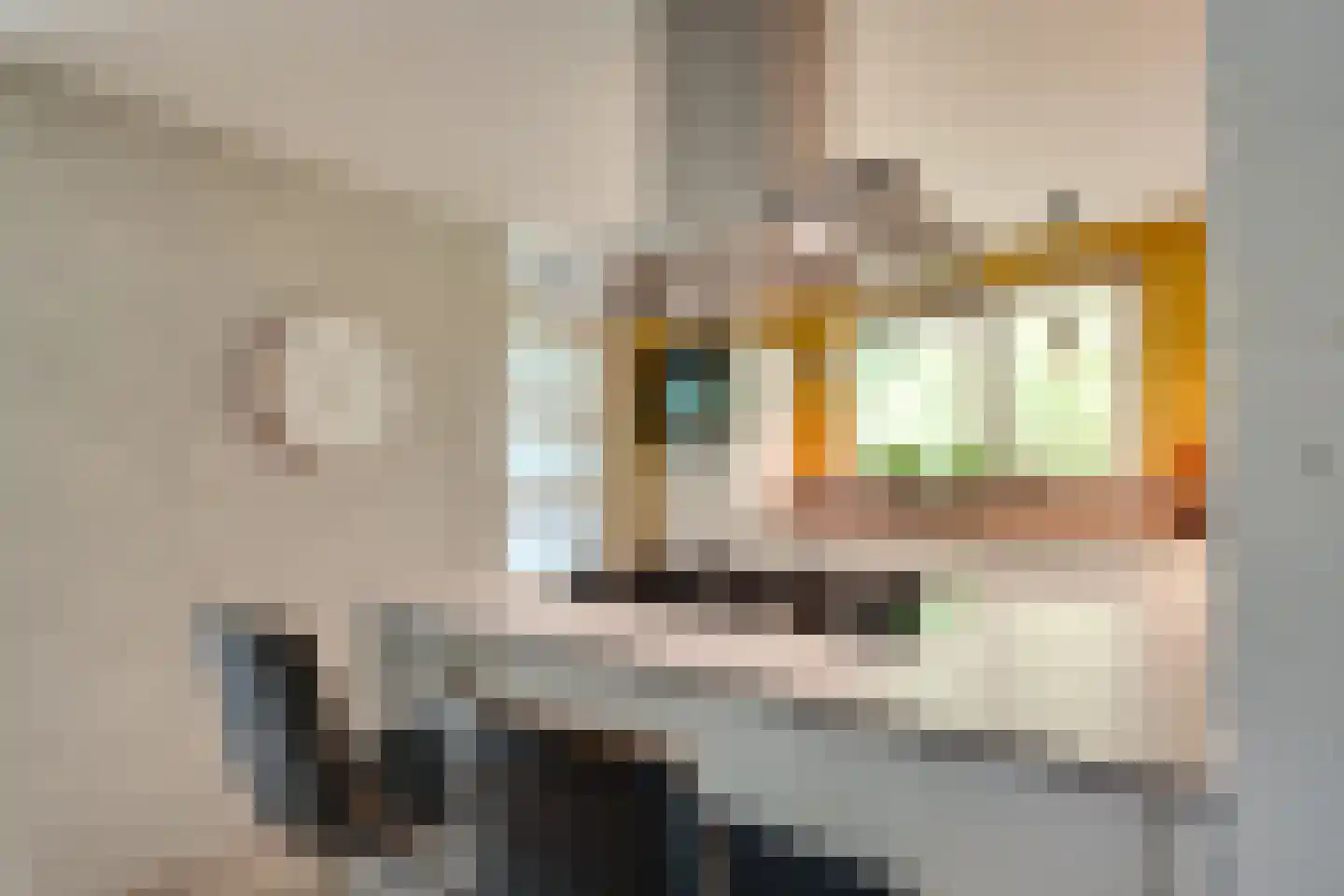 Binnenroede 9 Smilde thumbnail 7