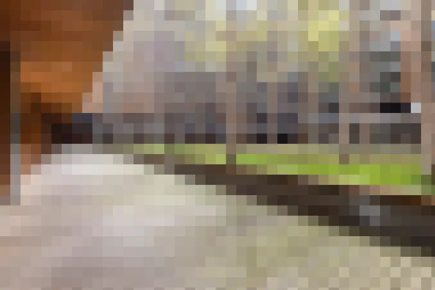 Binnenrotte 139 Rotterdam thumbnail 23