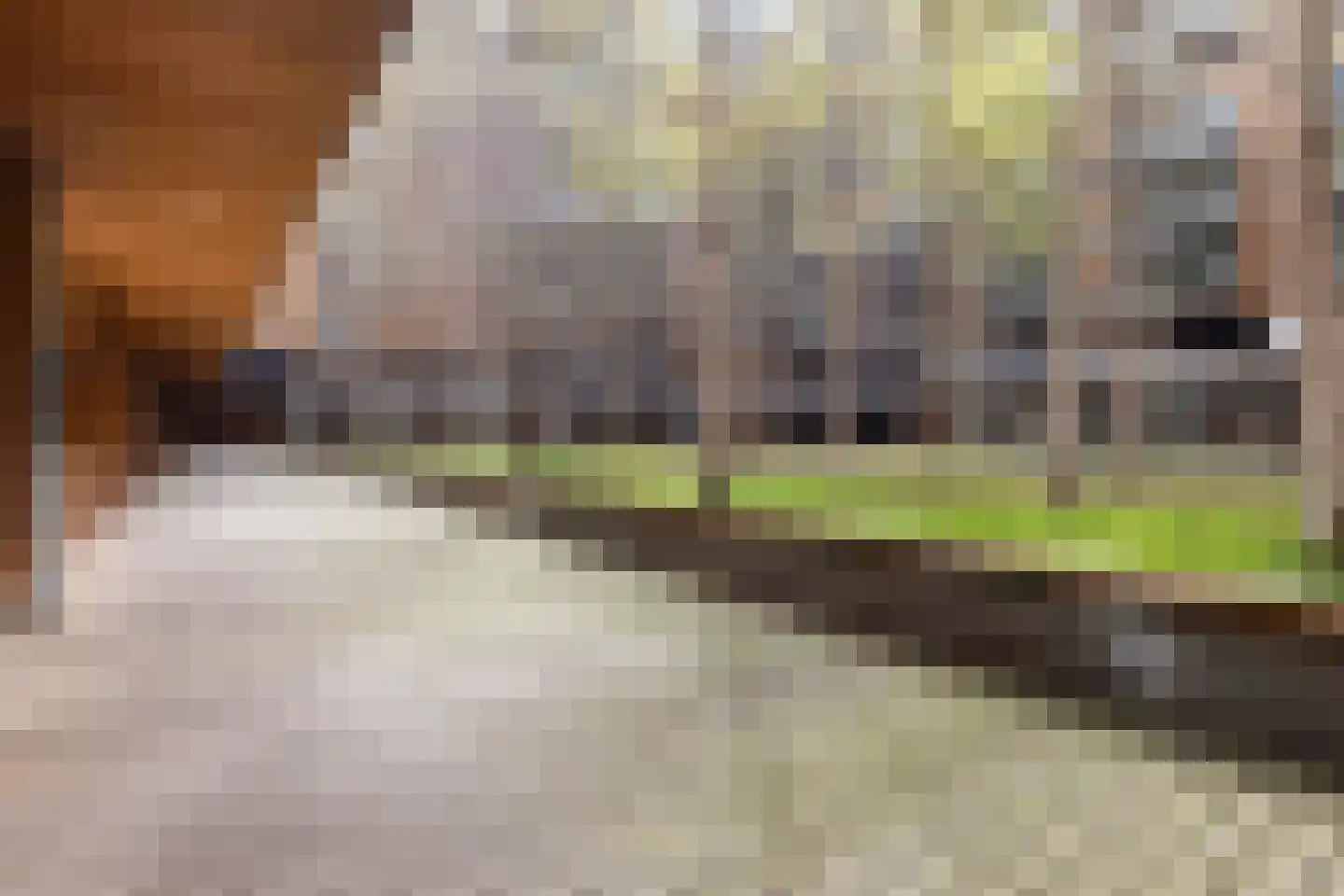 Binnenrotte 139 Rotterdam thumbnail 24