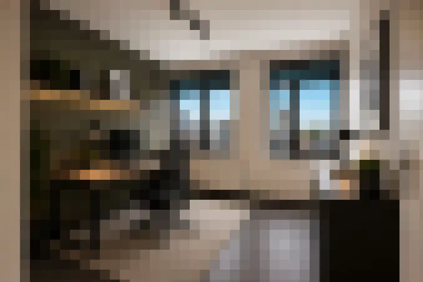 Binnenrotte 157 Rotterdam thumbnail 15