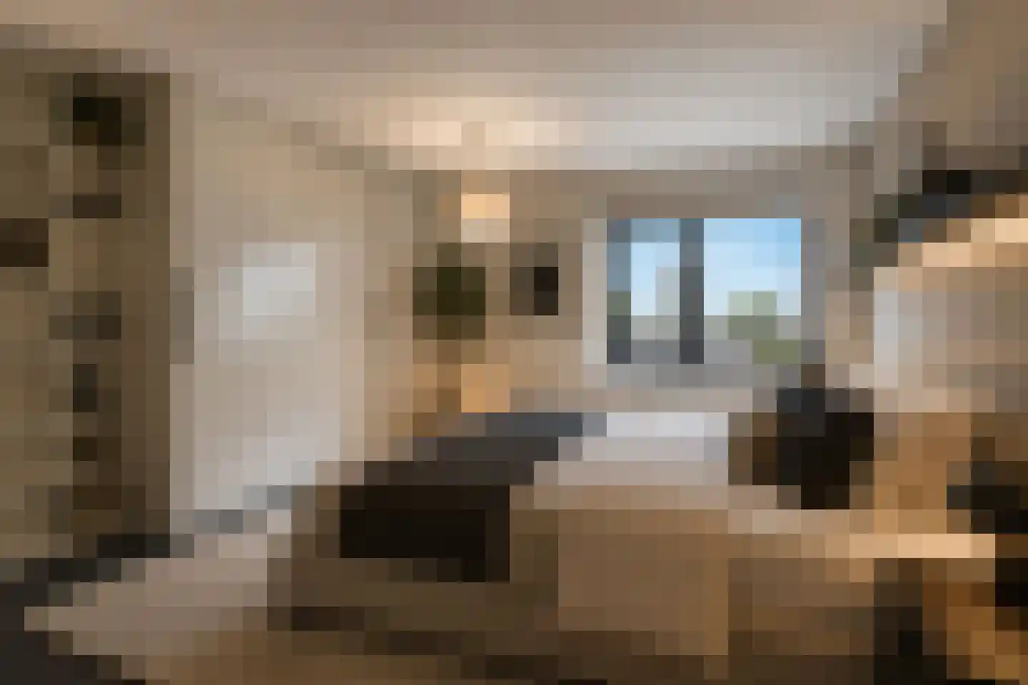 Binnenrotte 157 Rotterdam thumbnail 17
