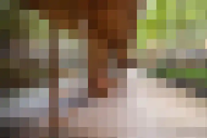 Binnenrotte 157 Rotterdam thumbnail 21