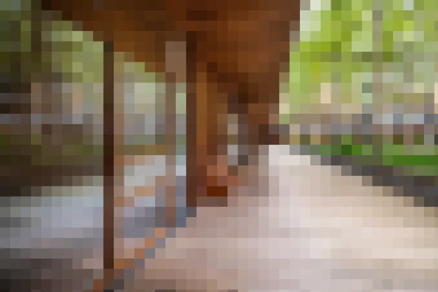 Binnenrotte 157 Rotterdam thumbnail 21