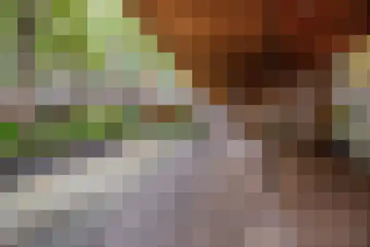 Binnenrotte 157 Rotterdam thumbnail 22