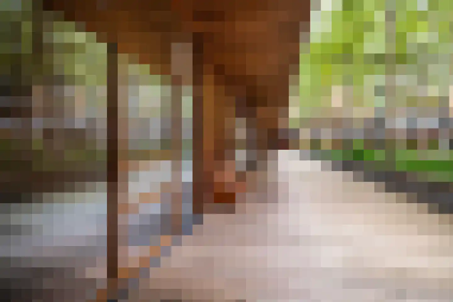 Binnenrotte 157 Rotterdam thumbnail 25