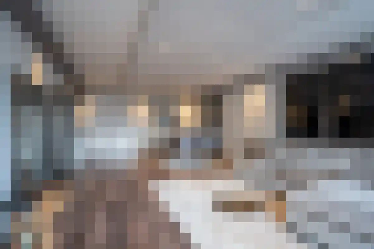 Binnenrotte 157 Rotterdam thumbnail 4