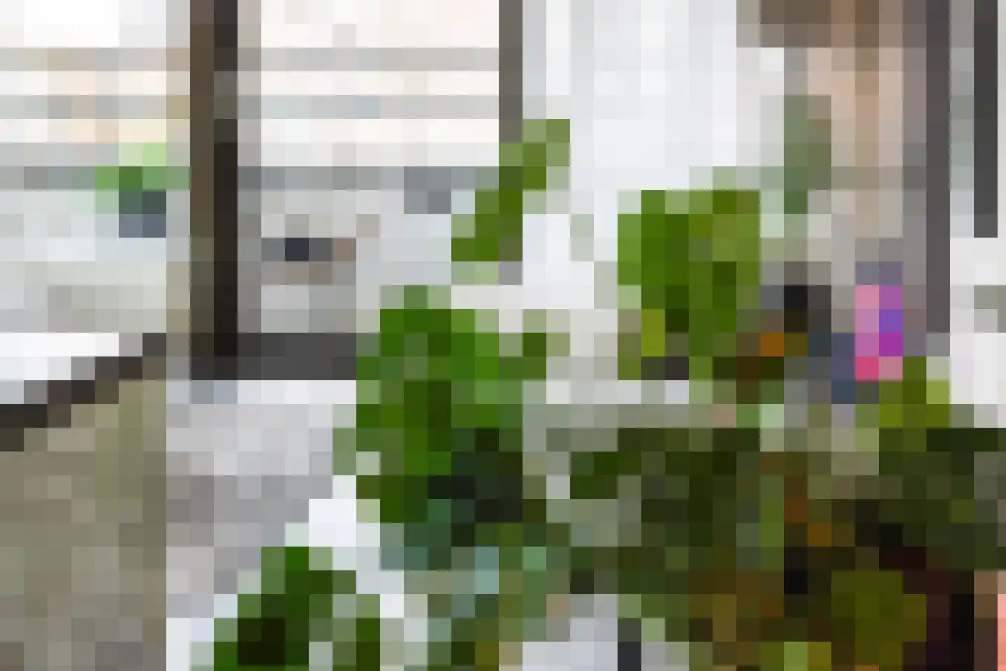 Binnenrotte 157 Rotterdam thumbnail 5