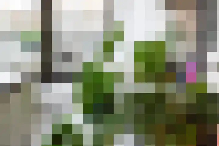 Binnenrotte 157 Rotterdam thumbnail 5