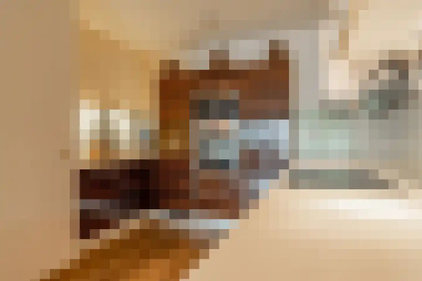 Binnenrotte 187 Rotterdam thumbnail 13