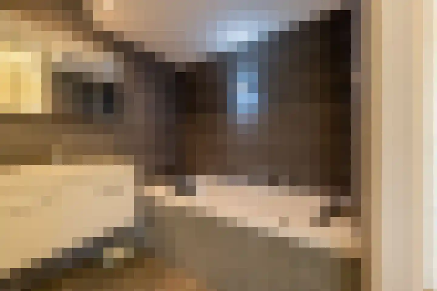 Binnenrotte 187 Rotterdam thumbnail 22