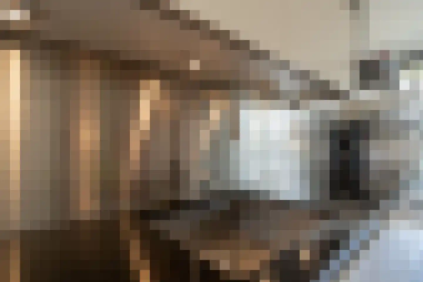 Binnenrotte 233 Rotterdam thumbnail 11