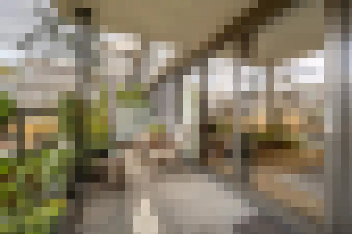 Binnenrotte 233 Rotterdam thumbnail 13