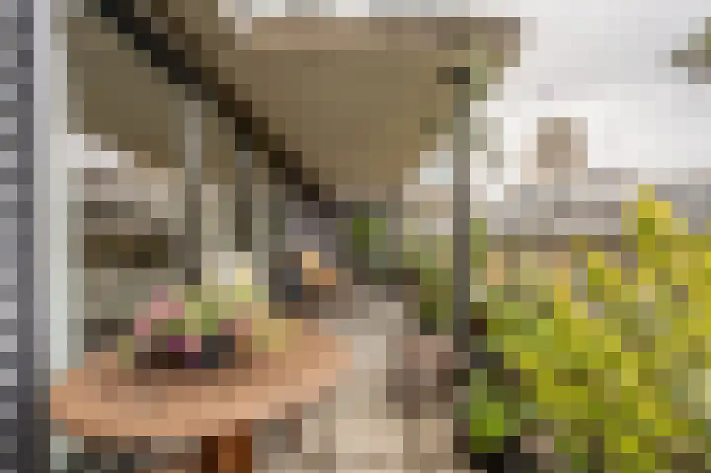 Binnenrotte 233 Rotterdam thumbnail 15