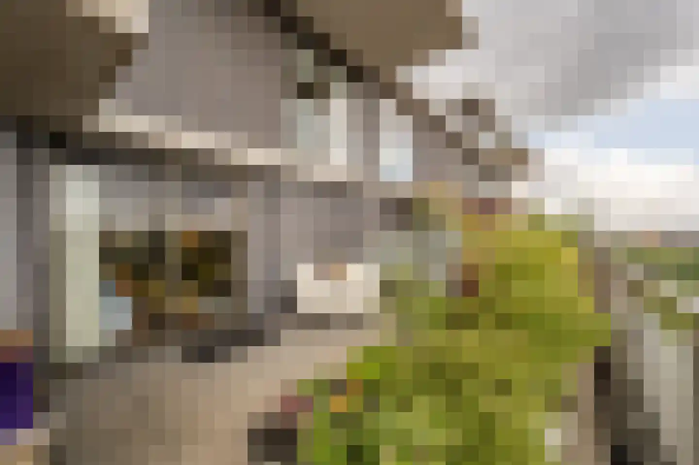 Binnenrotte 233 Rotterdam thumbnail 22