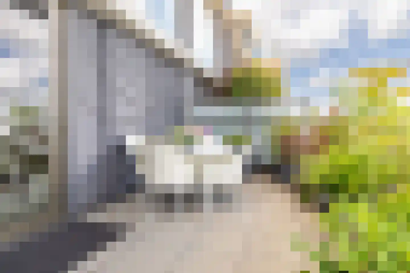Binnenrotte 233 Rotterdam thumbnail 22