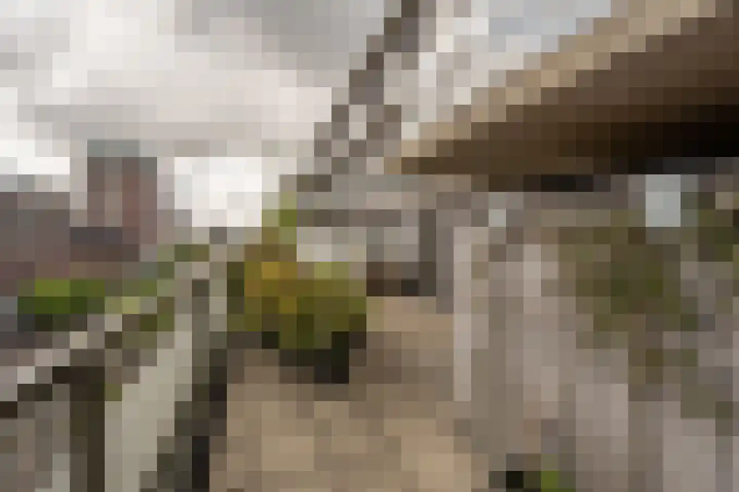 Binnenrotte 233 Rotterdam thumbnail 23