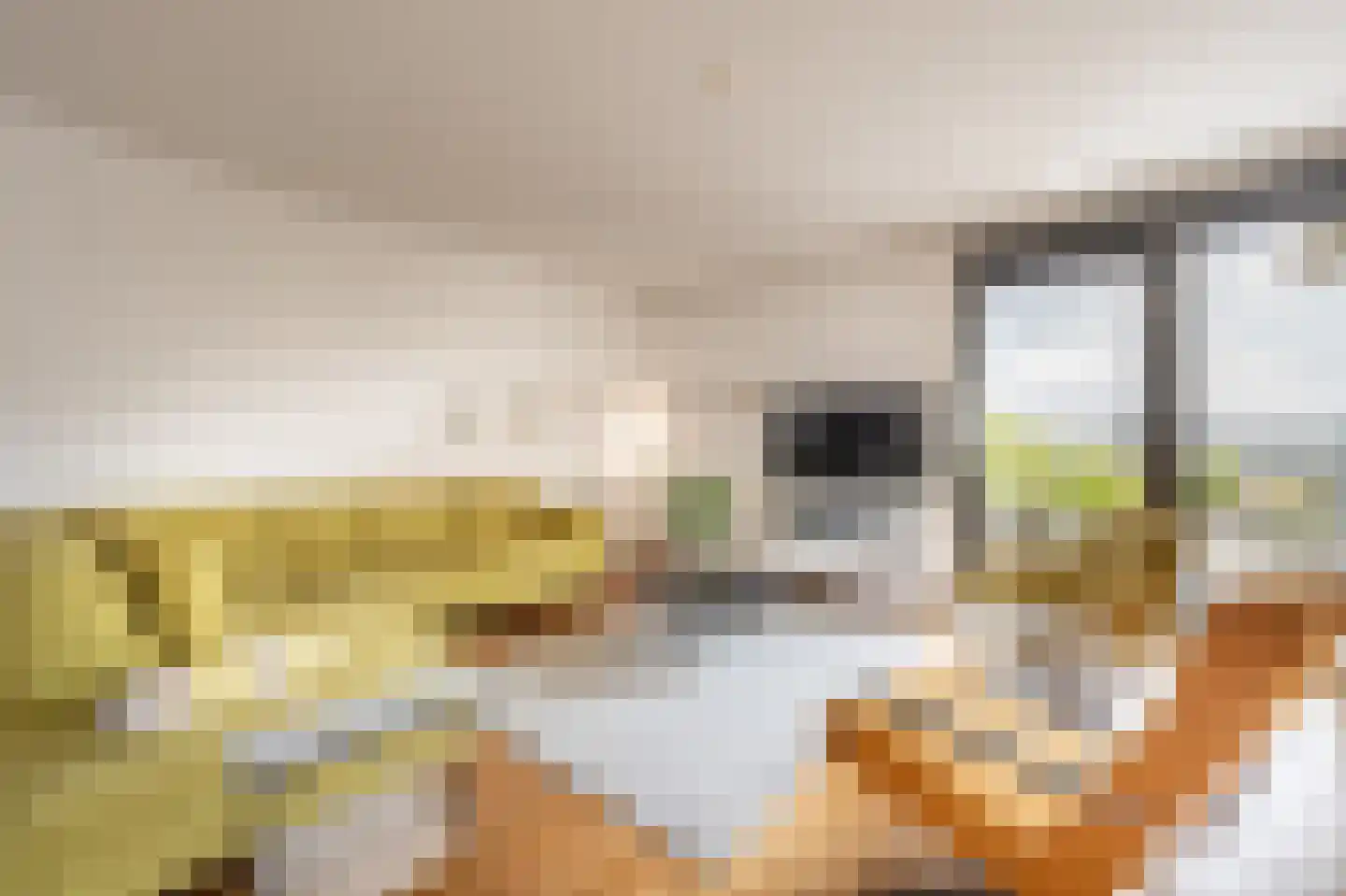 Binnenrotte 233 Rotterdam thumbnail 5