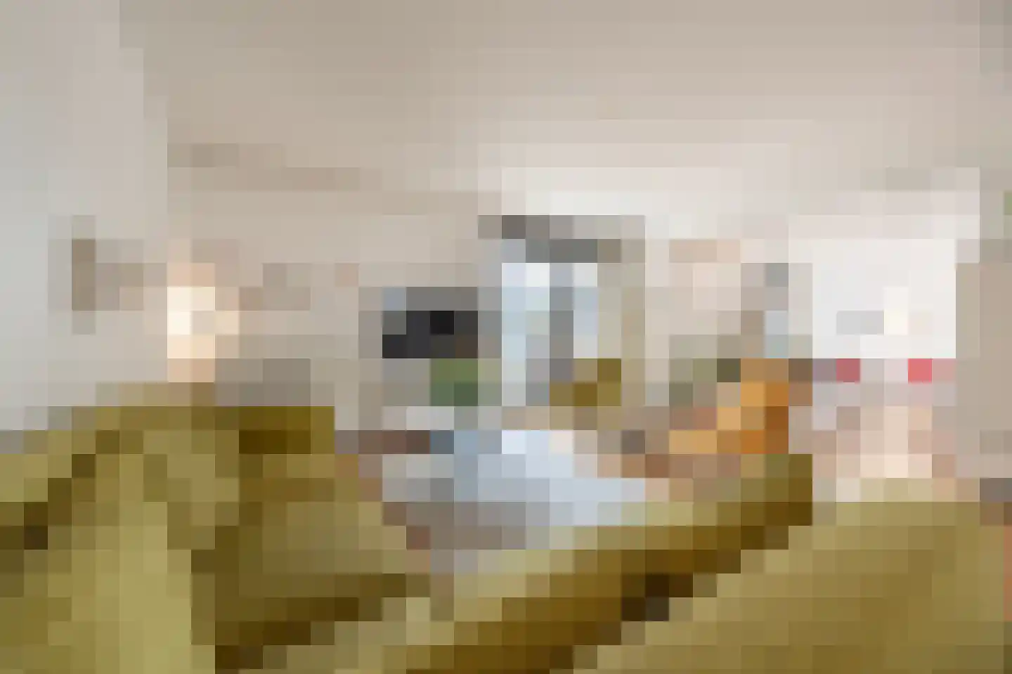 Binnenrotte 233 Rotterdam thumbnail 6