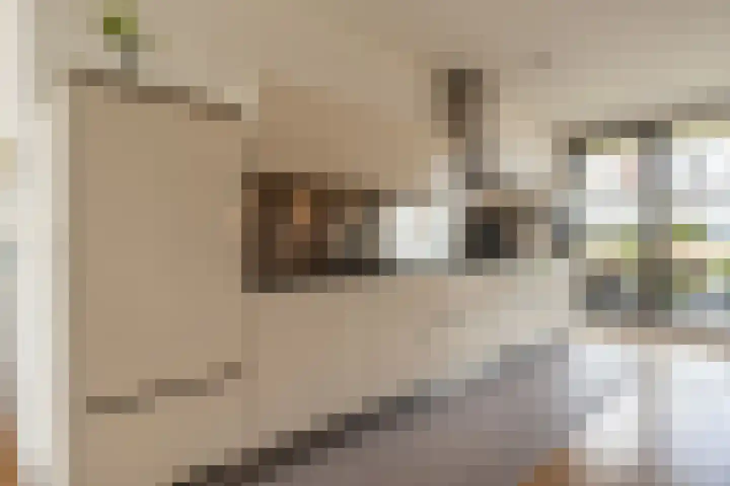 Binnenrotte 233 Rotterdam thumbnail 9