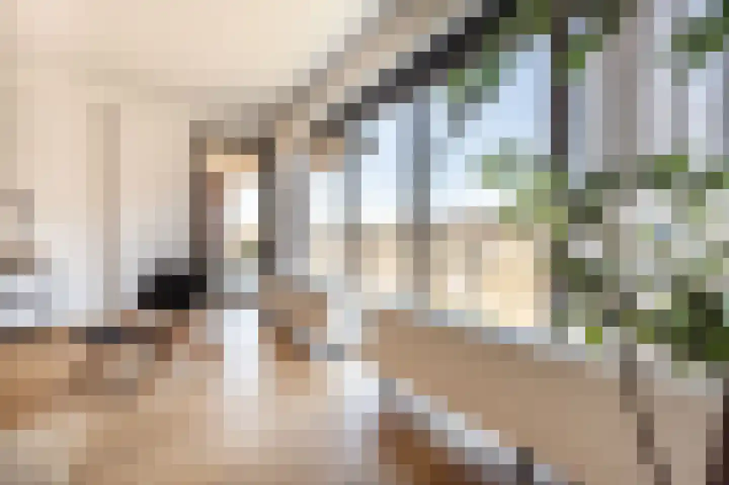 Binnenrotte 271 Rotterdam thumbnail 10