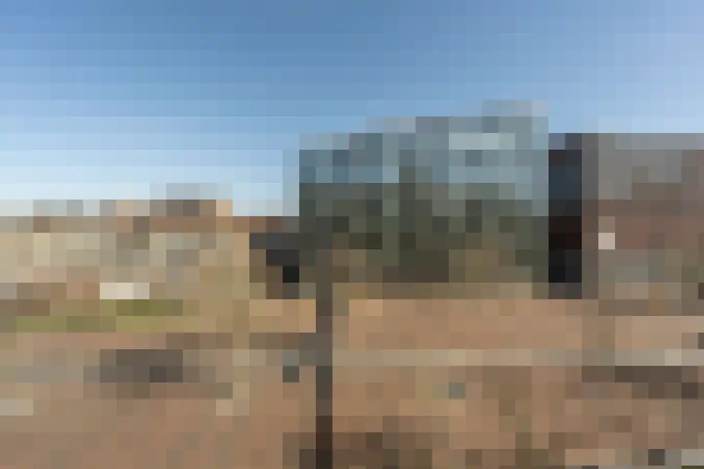 Binnenrotte 271 Rotterdam thumbnail 13