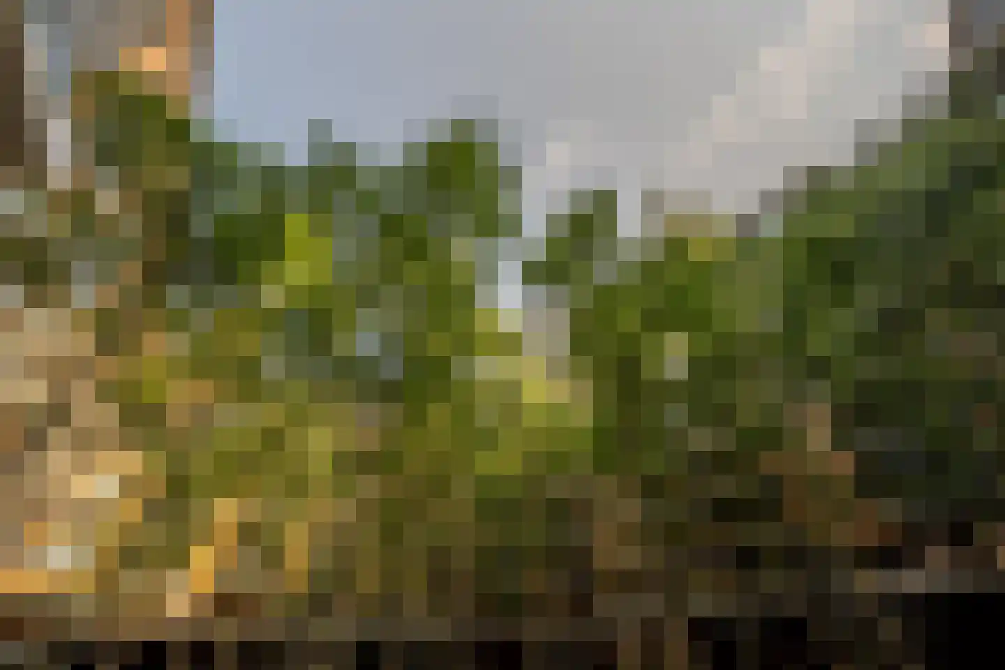 Binnenrotte 271 Rotterdam thumbnail 34