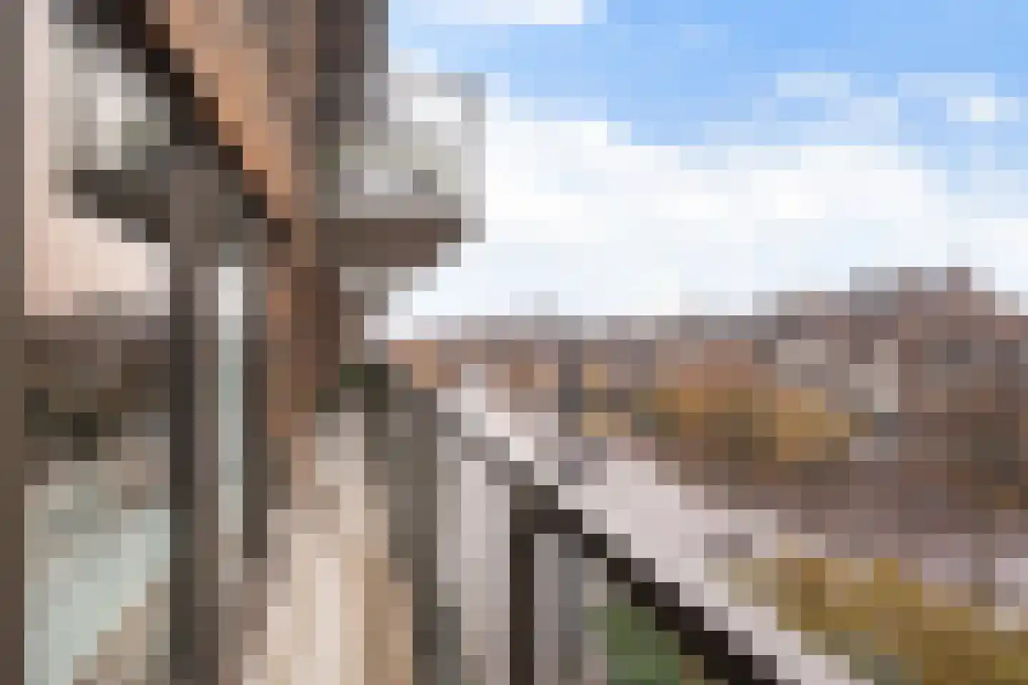 Binnenrotte 273 Rotterdam thumbnail 23
