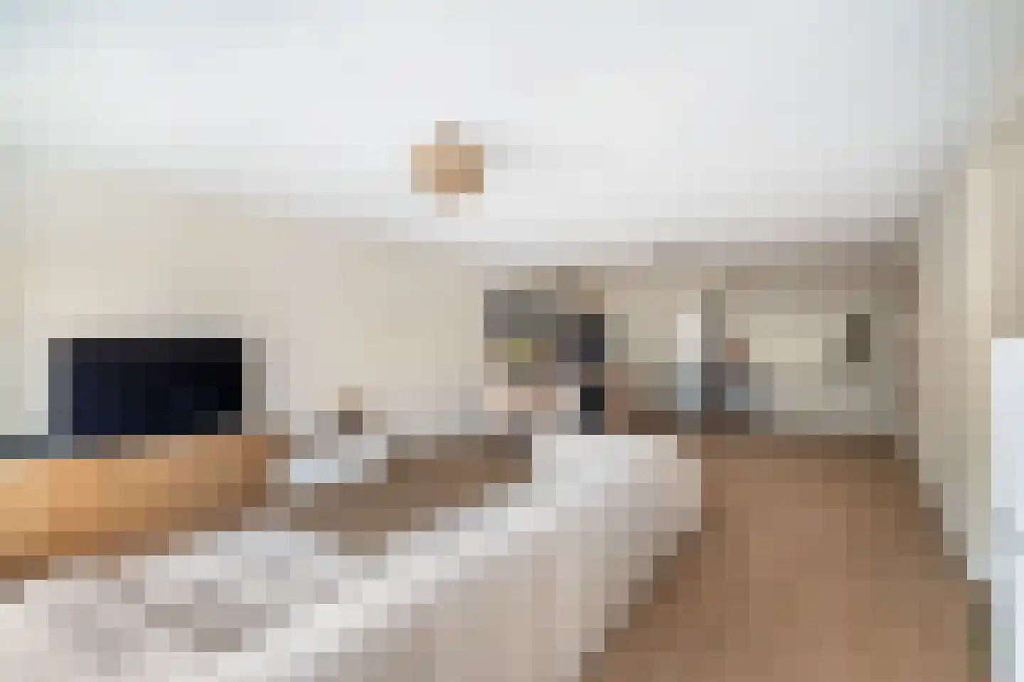 Binnenrotte 273 Rotterdam thumbnail 26