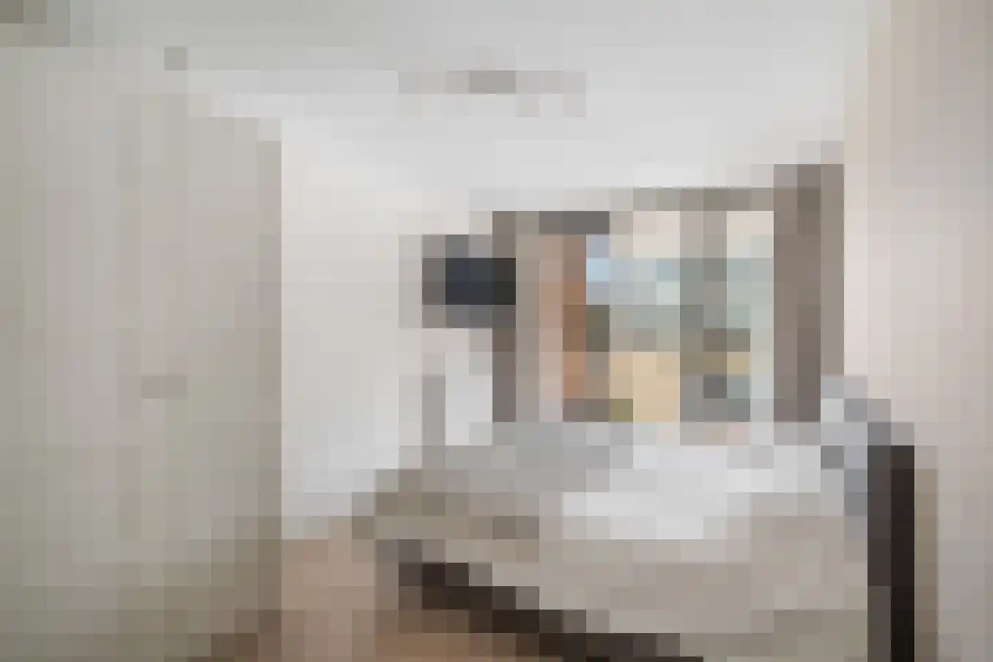 Binnenrotte 273 Rotterdam thumbnail 30