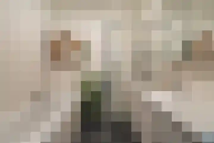 Binnenrotte 273 Rotterdam thumbnail 32