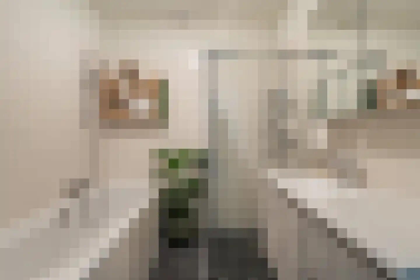 Binnenrotte 273 Rotterdam thumbnail 32