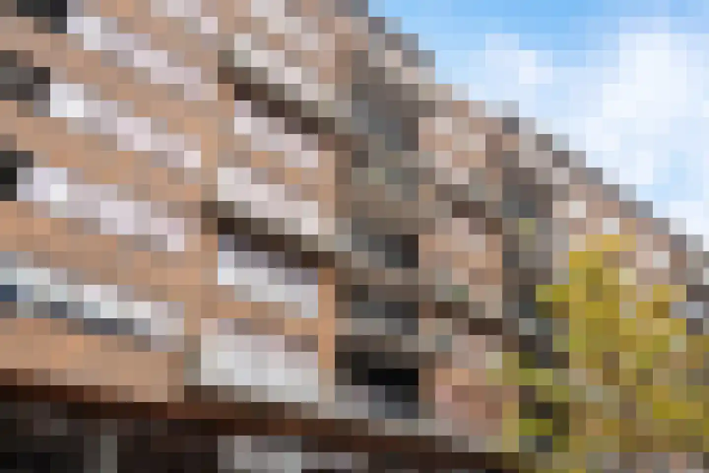 Binnenrotte 273 Rotterdam thumbnail 40