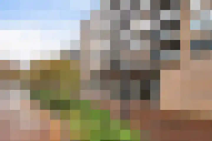 Binnenrotte 273 Rotterdam thumbnail 41