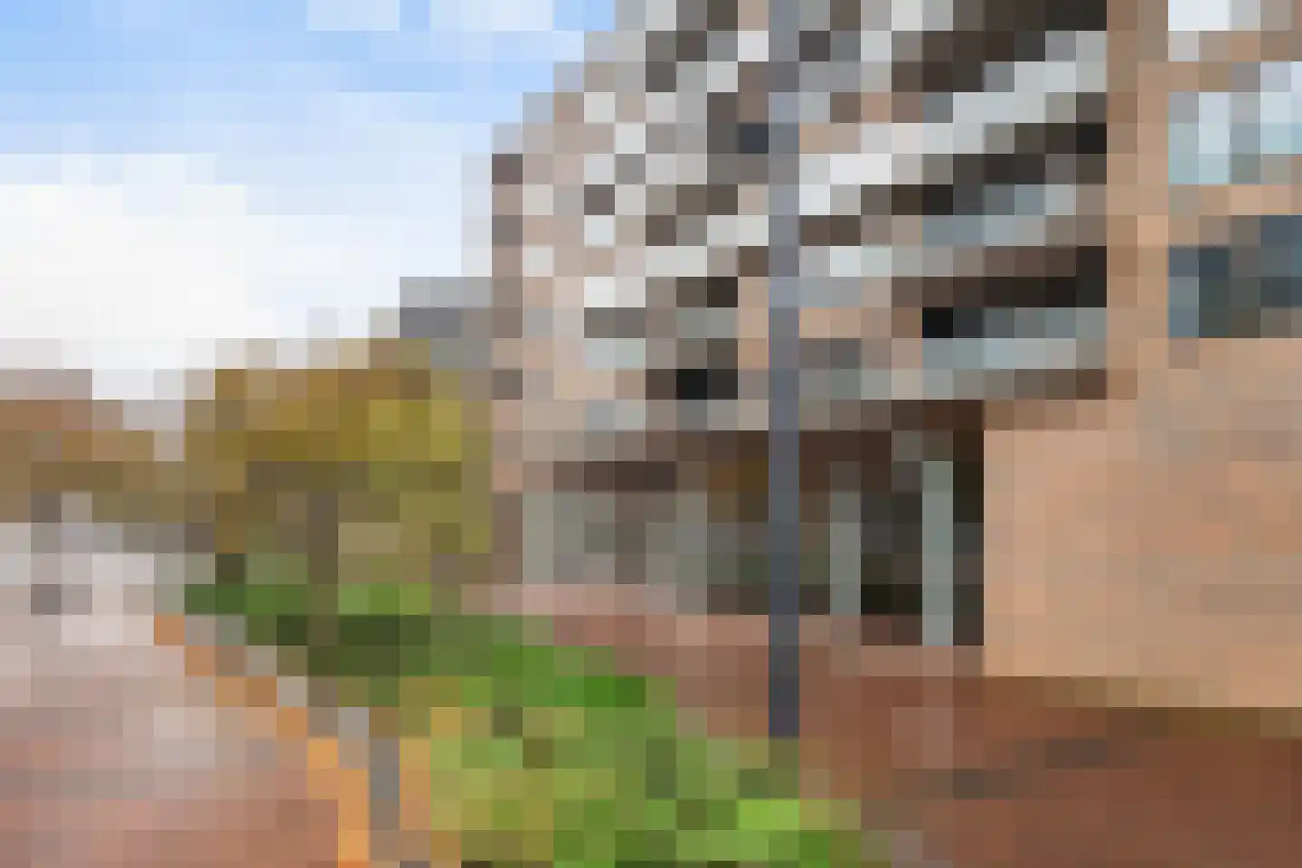 Binnenrotte 273 Rotterdam thumbnail 41