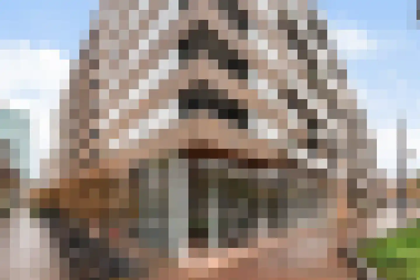 Binnenrotte 273 Rotterdam thumbnail 6