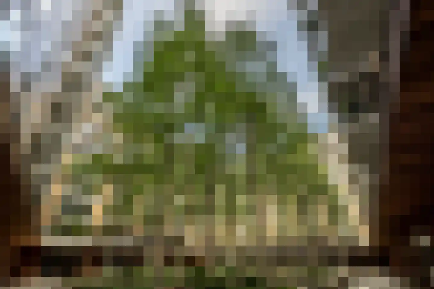 Binnenrotte 289 Rotterdam thumbnail 24
